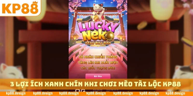 3 lợi ích xanh chín khi chơi mèo tài lộc